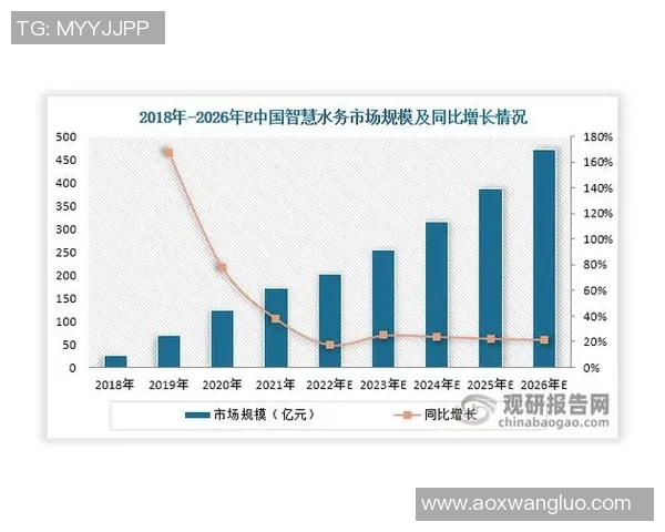 杭州足球队在洲际杯中的实力展现与未来发展潜力分析