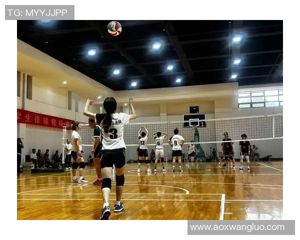 武汉排球队的节奏与魅力探秘：排球运动的热情与团结精神