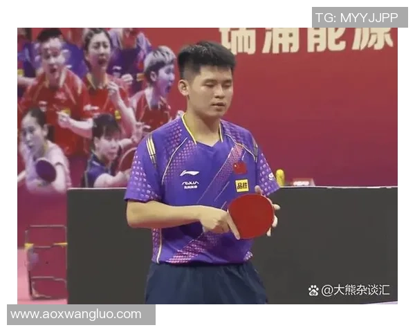 武汉乒乓球队的崛起与发展探秘：力量与潜力的深度分析